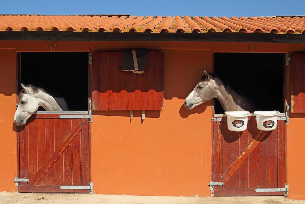Quinta Da Bicuda Villa Cascais Kültér fotó